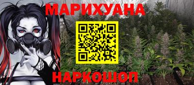 крисы Краснознаменск
